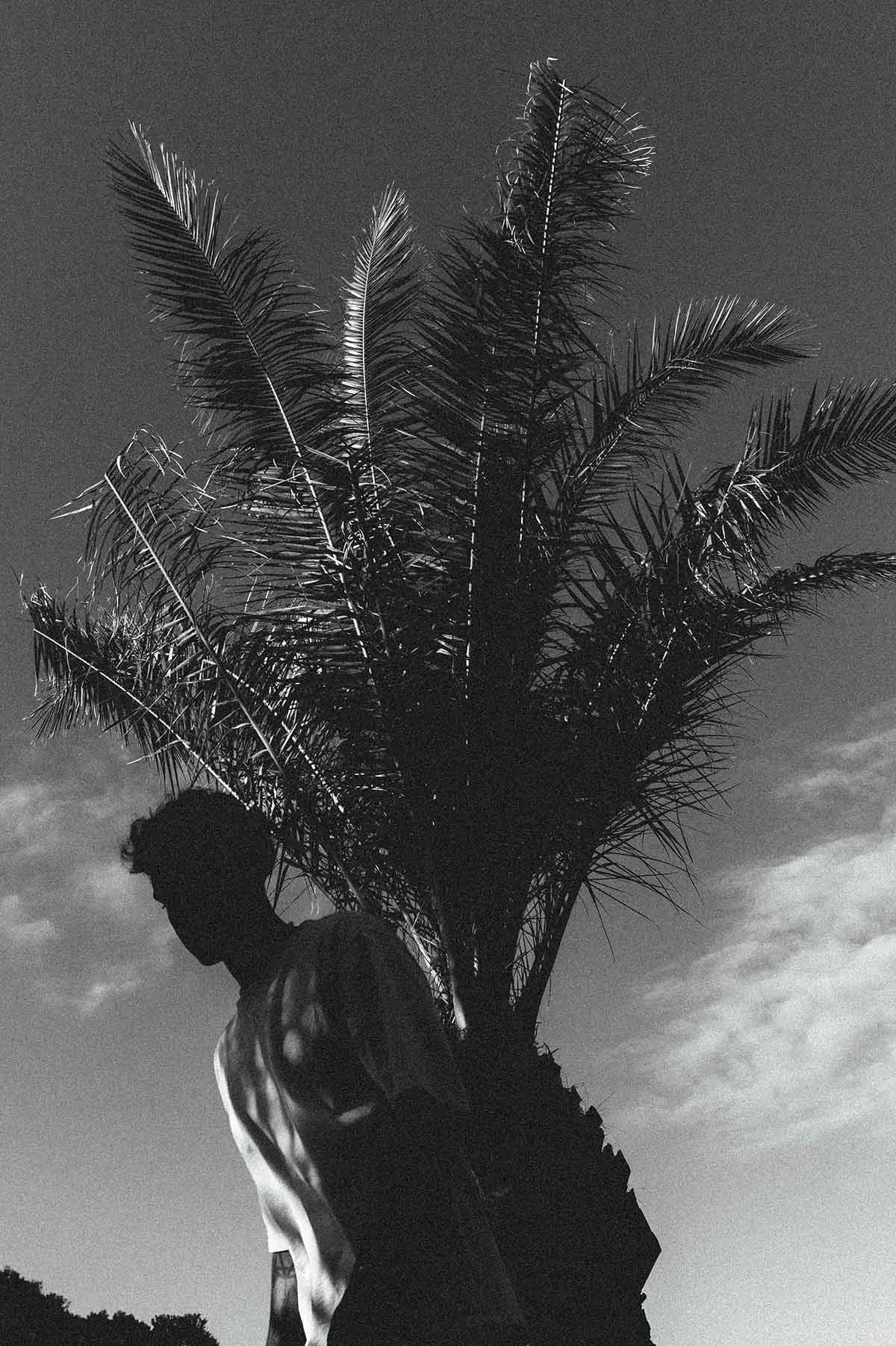 Parkour athlete next to a palm tree