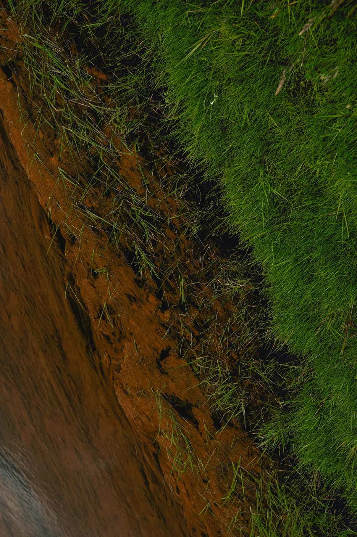 Icelandic grass landscape
